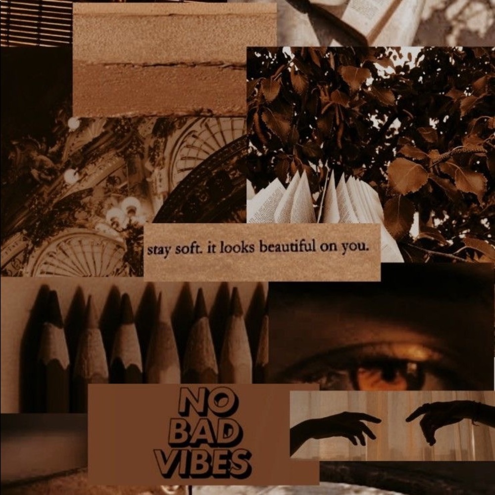 Meet your Posher, Brenda